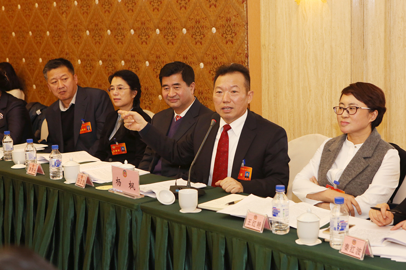 杨枫主席参加市政协八届一次会议分组讨论